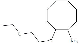 2-(2-ethoxyethoxy)cyclooctan-1-amine 结构式