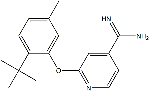 2-(2-tert-butyl-5-methylphenoxy)pyridine-4-carboximidamide 结构式