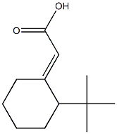 2-(2-tert-butylcyclohexylidene)acetic acid 结构式