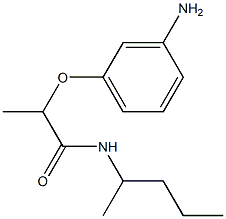 2-(3-aminophenoxy)-N-(pentan-2-yl)propanamide 结构式