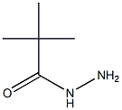 2,2-dimethylpropanohydrazide 结构式