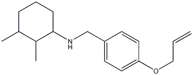 2,3-dimethyl-N-{[4-(prop-2-en-1-yloxy)phenyl]methyl}cyclohexan-1-amine 结构式