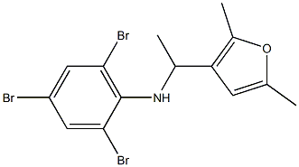 2,4,6-tribromo-N-[1-(2,5-dimethylfuran-3-yl)ethyl]aniline 结构式