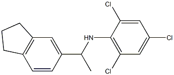 2,4,6-trichloro-N-[1-(2,3-dihydro-1H-inden-5-yl)ethyl]aniline 结构式