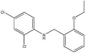 2,4-dichloro-N-[(2-ethoxyphenyl)methyl]aniline 结构式