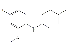 2,4-dimethoxy-N-(5-methylhexan-2-yl)aniline 结构式