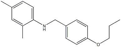 2,4-dimethyl-N-[(4-propoxyphenyl)methyl]aniline 结构式