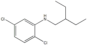 2,5-dichloro-N-(2-ethylbutyl)aniline 结构式