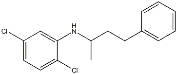 2,5-dichloro-N-(4-phenylbutan-2-yl)aniline 结构式