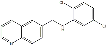 2,5-dichloro-N-(quinolin-6-ylmethyl)aniline 结构式