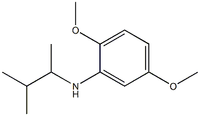 2,5-dimethoxy-N-(3-methylbutan-2-yl)aniline 结构式