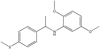2,5-dimethoxy-N-{1-[4-(methylsulfanyl)phenyl]ethyl}aniline 结构式