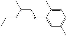 2,5-dimethyl-N-(2-methylpentyl)aniline 结构式