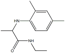 2-[(2,4-dimethylphenyl)amino]-N-ethylpropanamide 结构式