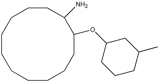 2-[(3-methylcyclohexyl)oxy]cyclododecan-1-amine 结构式