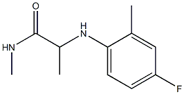 2-[(4-fluoro-2-methylphenyl)amino]-N-methylpropanamide 结构式