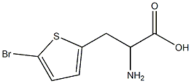 2-amino-3-(5-bromothien-2-yl)propanoic acid 结构式