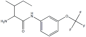 2-amino-3-methyl-N-[3-(trifluoromethoxy)phenyl]pentanamide 结构式