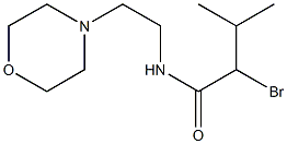 2-bromo-3-methyl-N-[2-(morpholin-4-yl)ethyl]butanamide 结构式