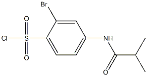 2-bromo-4-(2-methylpropanamido)benzene-1-sulfonyl chloride 结构式