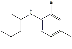 2-bromo-4-methyl-N-(4-methylpentan-2-yl)aniline 结构式