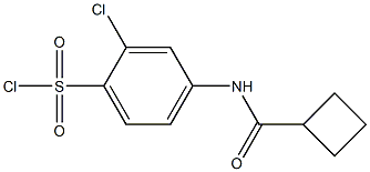 2-chloro-4-cyclobutaneamidobenzene-1-sulfonyl chloride 结构式