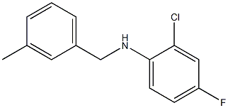 2-chloro-4-fluoro-N-[(3-methylphenyl)methyl]aniline 结构式