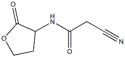 2-cyano-N-(2-oxooxolan-3-yl)acetamide 结构式