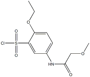 2-ethoxy-5-(2-methoxyacetamido)benzene-1-sulfonyl chloride 结构式