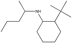 2-tert-butyl-N-(pentan-2-yl)cyclohexan-1-amine 结构式