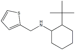 2-tert-butyl-N-(thiophen-2-ylmethyl)cyclohexan-1-amine 结构式