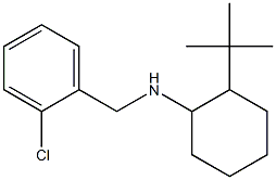 2-tert-butyl-N-[(2-chlorophenyl)methyl]cyclohexan-1-amine 结构式