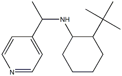 2-tert-butyl-N-[1-(pyridin-4-yl)ethyl]cyclohexan-1-amine 结构式