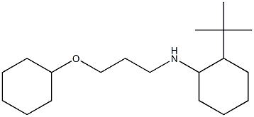 2-tert-butyl-N-[3-(cyclohexyloxy)propyl]cyclohexan-1-amine 结构式