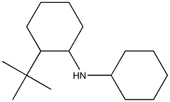 2-tert-butyl-N-cyclohexylcyclohexan-1-amine 结构式