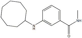 3-(cyclooctylamino)-N-methylbenzamide 结构式