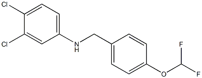 3,4-dichloro-N-{[4-(difluoromethoxy)phenyl]methyl}aniline 结构式
