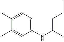 3,4-dimethyl-N-(pentan-2-yl)aniline 结构式