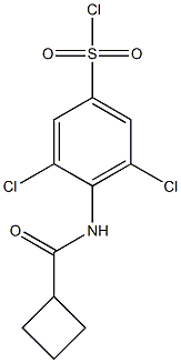 3,5-dichloro-4-cyclobutaneamidobenzene-1-sulfonyl chloride 结构式