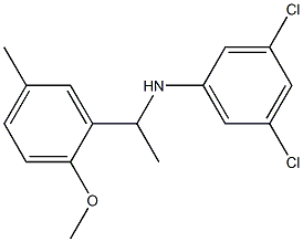 3,5-dichloro-N-[1-(2-methoxy-5-methylphenyl)ethyl]aniline 结构式