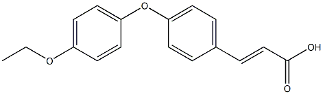 3-[4-(4-ethoxyphenoxy)phenyl]prop-2-enoic acid 结构式