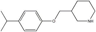 3-[4-(propan-2-yl)phenoxymethyl]piperidine 结构式