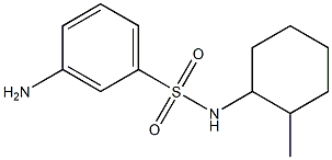3-amino-N-(2-methylcyclohexyl)benzenesulfonamide 结构式