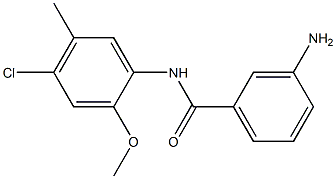 3-amino-N-(4-chloro-2-methoxy-5-methylphenyl)benzamide 结构式