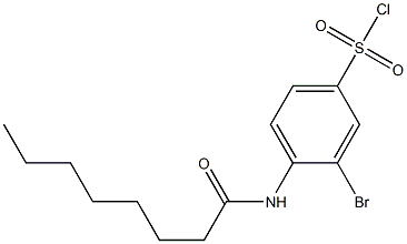 3-bromo-4-octanamidobenzene-1-sulfonyl chloride 结构式