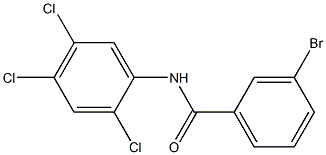 3-bromo-N-(2,4,5-trichlorophenyl)benzamide 结构式