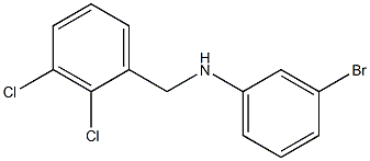 3-bromo-N-[(2,3-dichlorophenyl)methyl]aniline 结构式