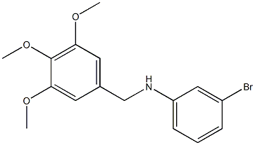 3-bromo-N-[(3,4,5-trimethoxyphenyl)methyl]aniline 结构式