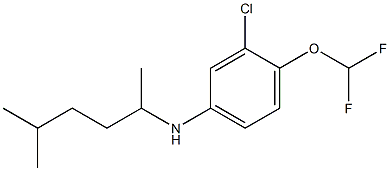 3-chloro-4-(difluoromethoxy)-N-(5-methylhexan-2-yl)aniline 结构式
