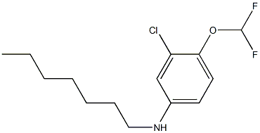 3-chloro-4-(difluoromethoxy)-N-heptylaniline 结构式